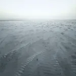 The year ends in Terschelling